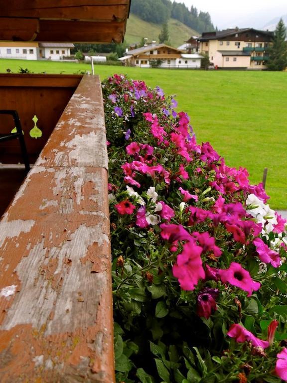 Ski & Bike Pension Maria Saalbach Hinterglemm Kültér fotó