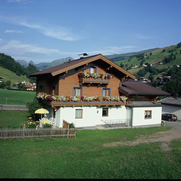 Ski & Bike Pension Maria Saalbach Hinterglemm Kültér fotó